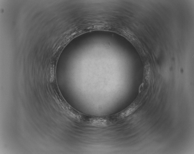 X0000053110471200508012129