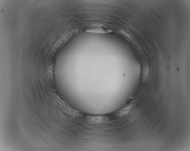 X0000053110473200508012129