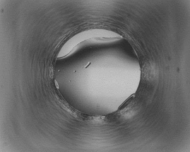 X0000053110474200508012129