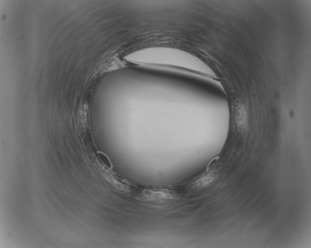 X0000053110475200508012129