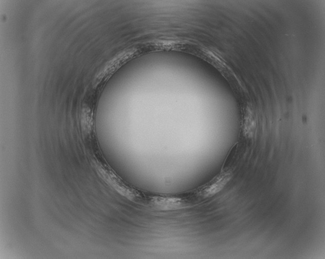 X0000053110476200508012129