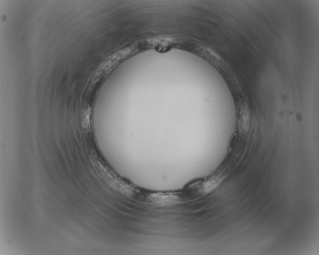 X0000053110477200508012129