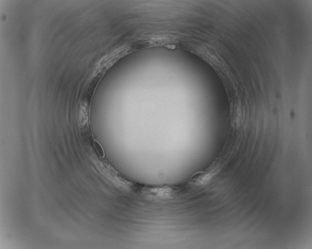 X0000053110478200508012129