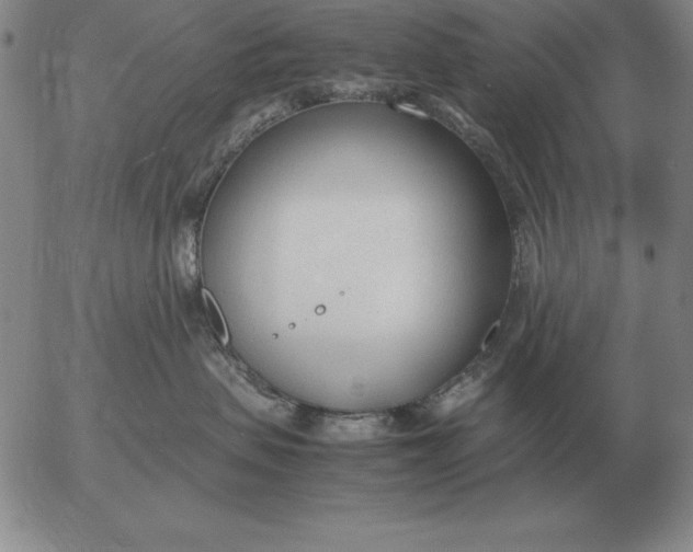 X0000053110479200508012129