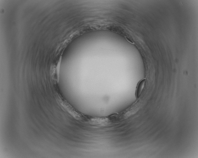 X0000053110480200508012129