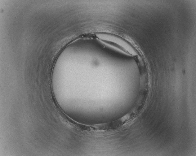 X0000053110481200508012129