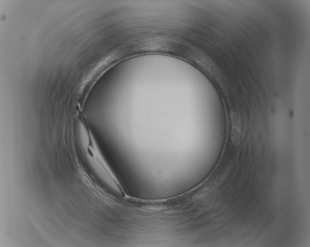 X0000053110482200508012129