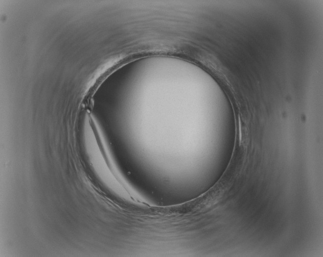 X0000053110483200508012129