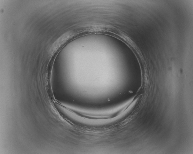 X0000053110485200508012129