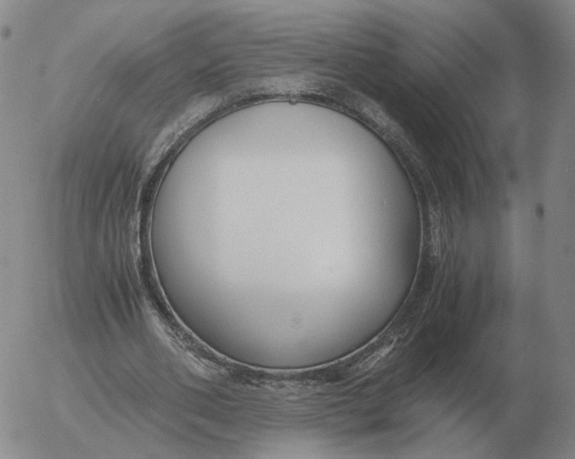 X0000053110486200508012129