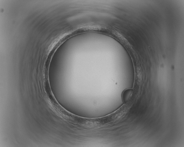 X0000053110487200508012129