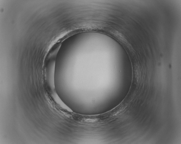 X0000053110488200508012129