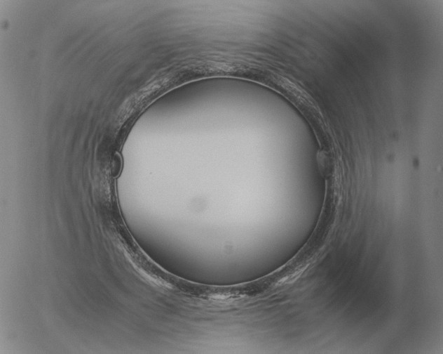 X0000053110489200508012128