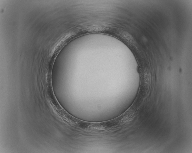 X0000053110491200508012128