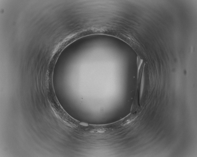 X0000053110492200508012128