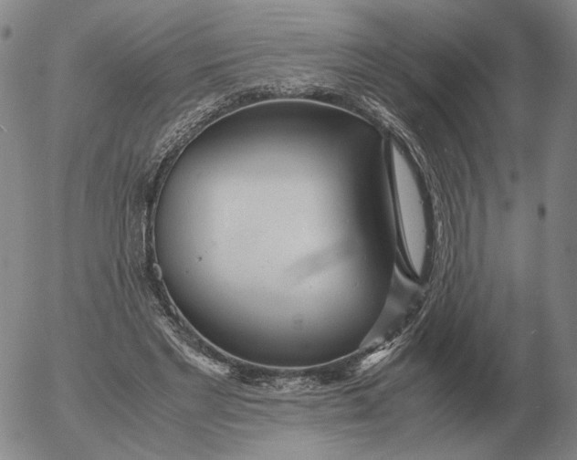 X0000053110493200508012128