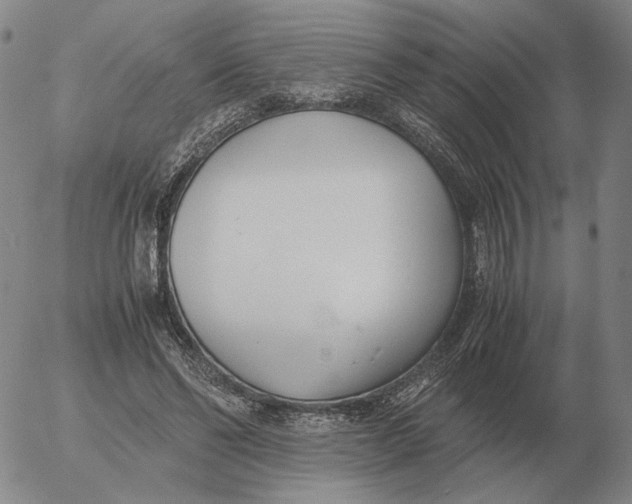 X0000053110494200508012128