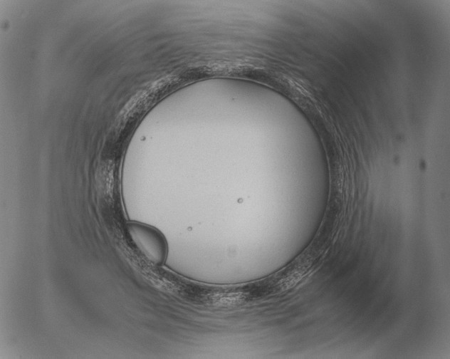 X0000053110495200508012128