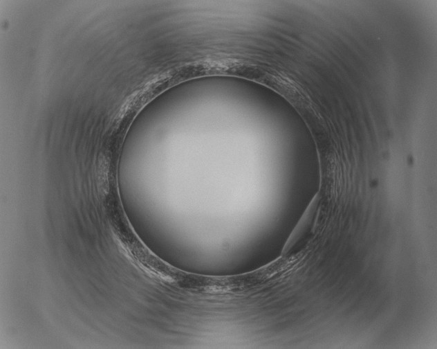 X0000053110496200508012128