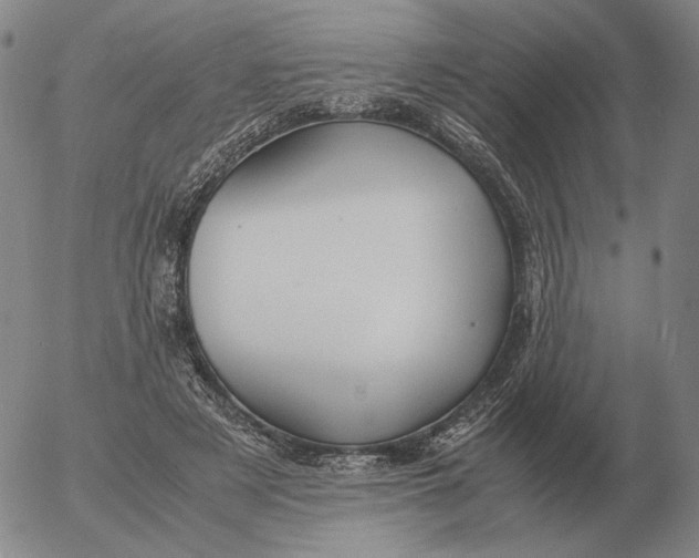 X0000053110497200508012128