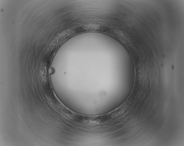 X0000053110498200508012128