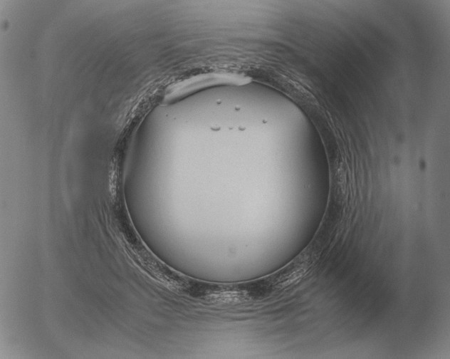 X0000053110499200508012128