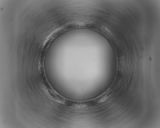 X0000053110500200508012128