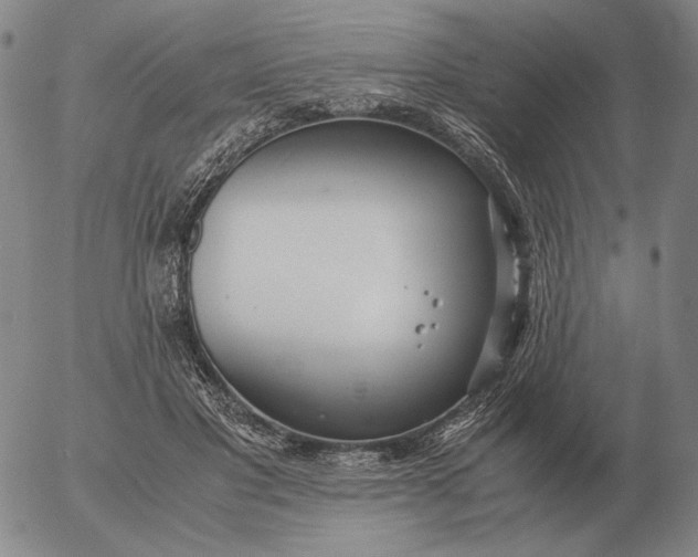 X0000053110501200508012128