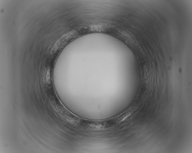 X0000053110502200508012128