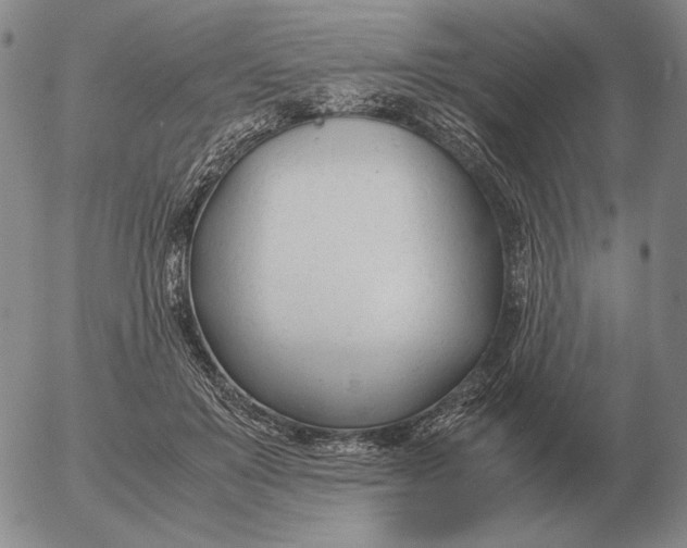 X0000053110503200508012128