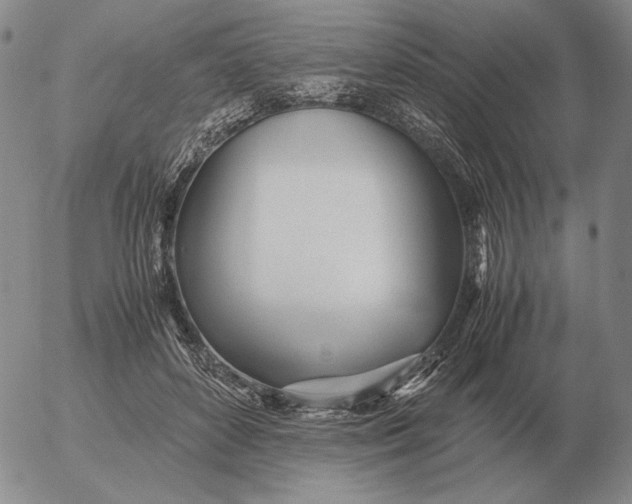 X0000053110504200508012128