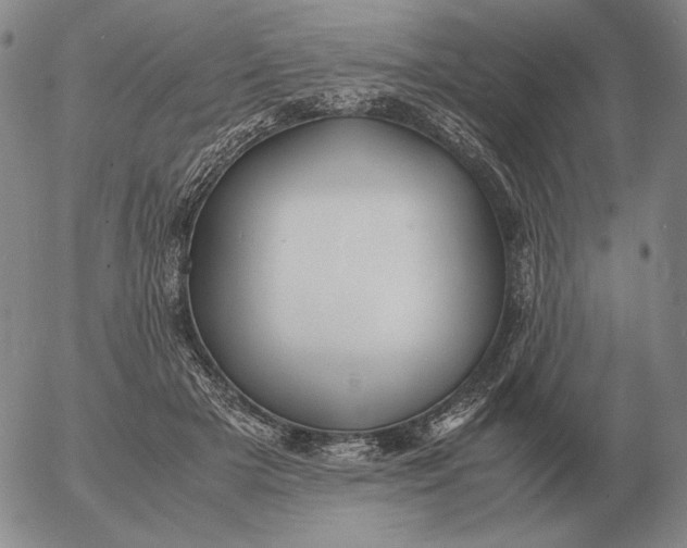 X0000053110505200508012128