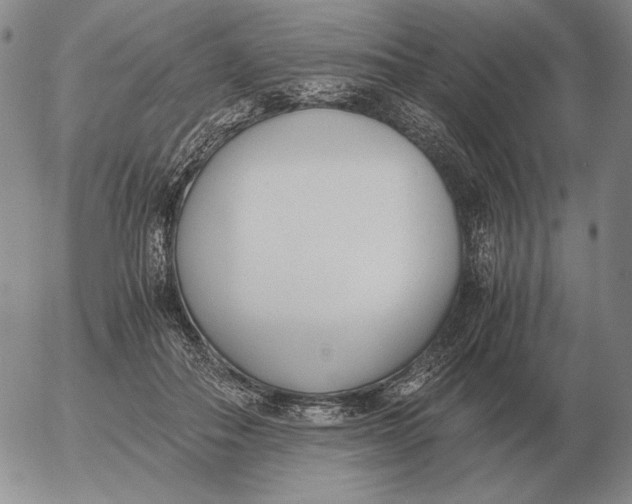 X0000053110506200508012128