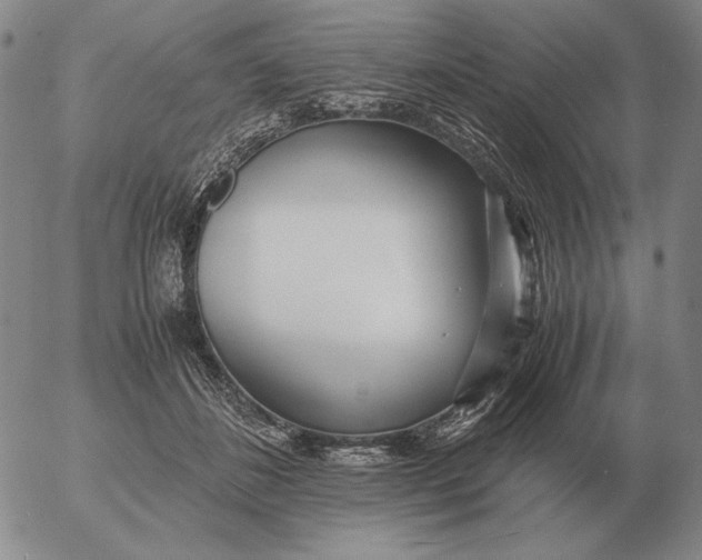 X0000053110508200508012128