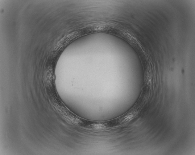 X0000053110509200508012128