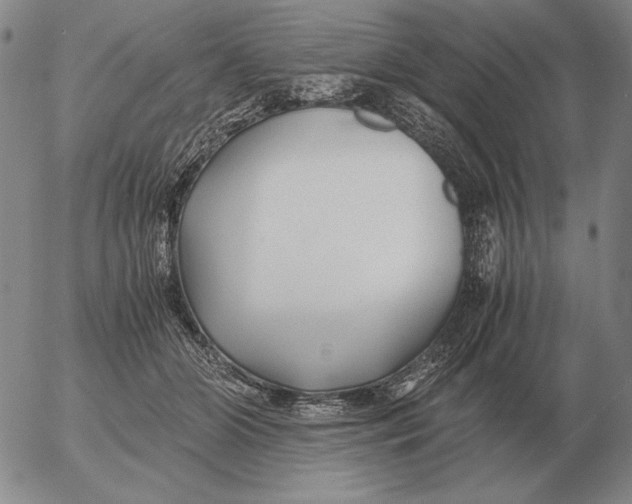 X0000053110510200508012128