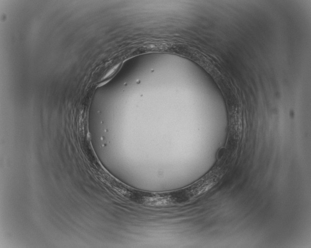 X0000053110511200508012128