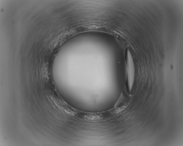 X0000053110512200508012128