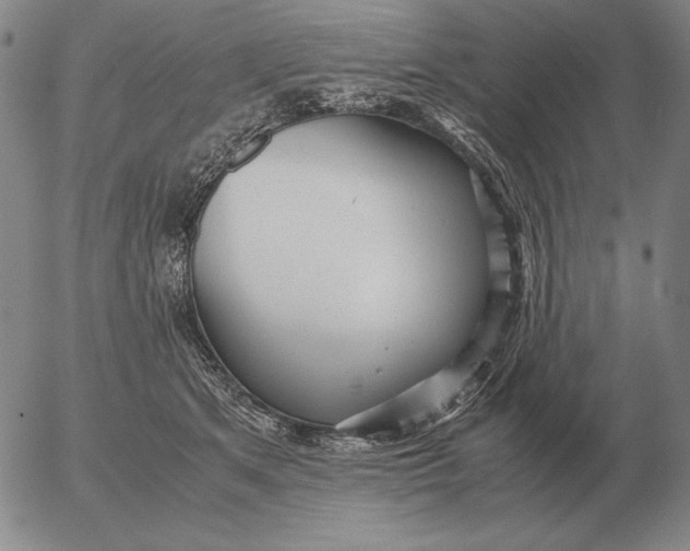 X0000053110513200508012128