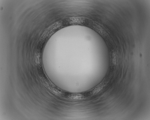 X0000053110514200508012128