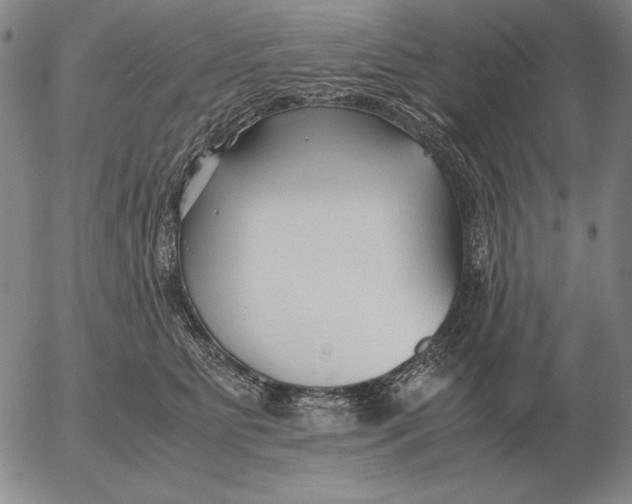 X0000053110515200508012128