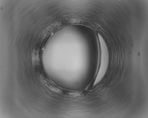 X0000053110516200508012128