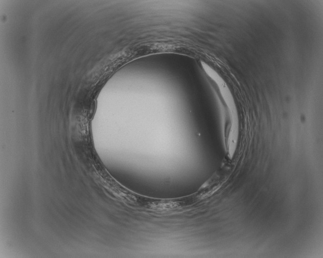 X0000053110517200508012128