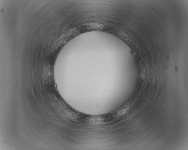 X0000053110518200508012128