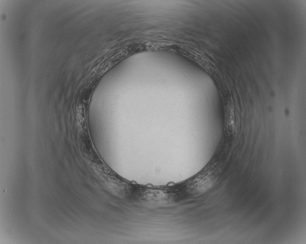 X0000053110519200508012128