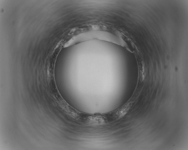 X0000053110520200508012128