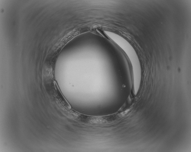 X0000053110521200508012128