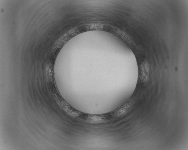 X0000053110522200508012128