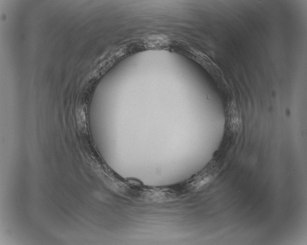 X0000053110523200508012128