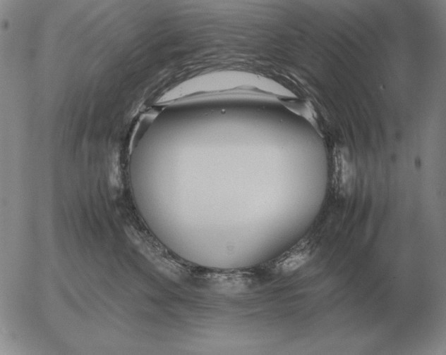 X0000053110524200508012128